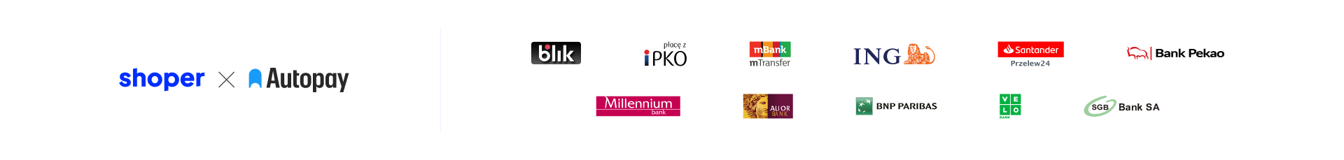 Shoper płatności Baner